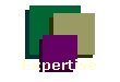 NewView Guiding Principles