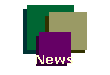 NewView News