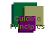 NewView Guiding Principles