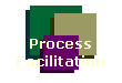 Process Facilitation