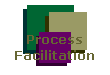 Process Facilitation